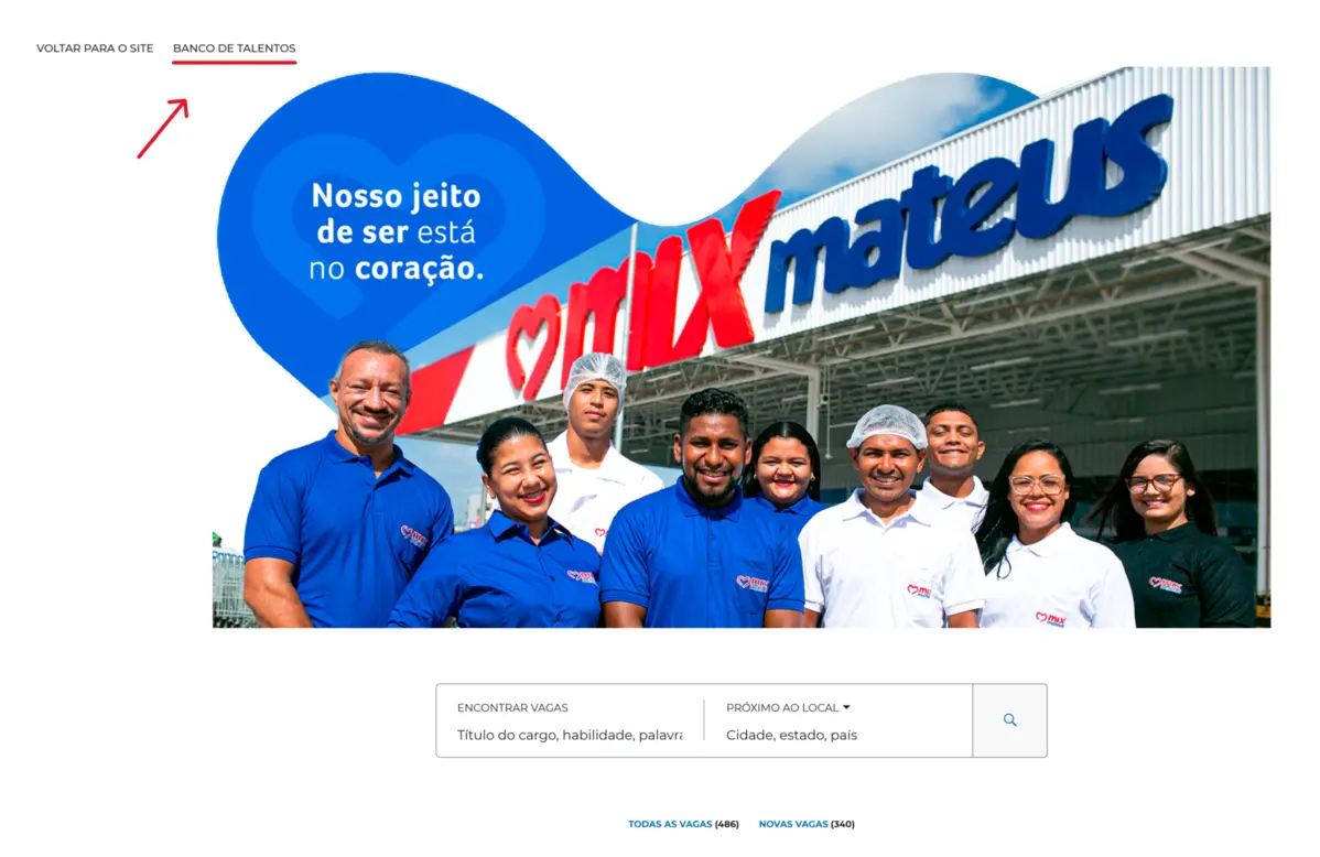 Banco de Talentos do Grupo Mateus para cadastrar o perfil profissional